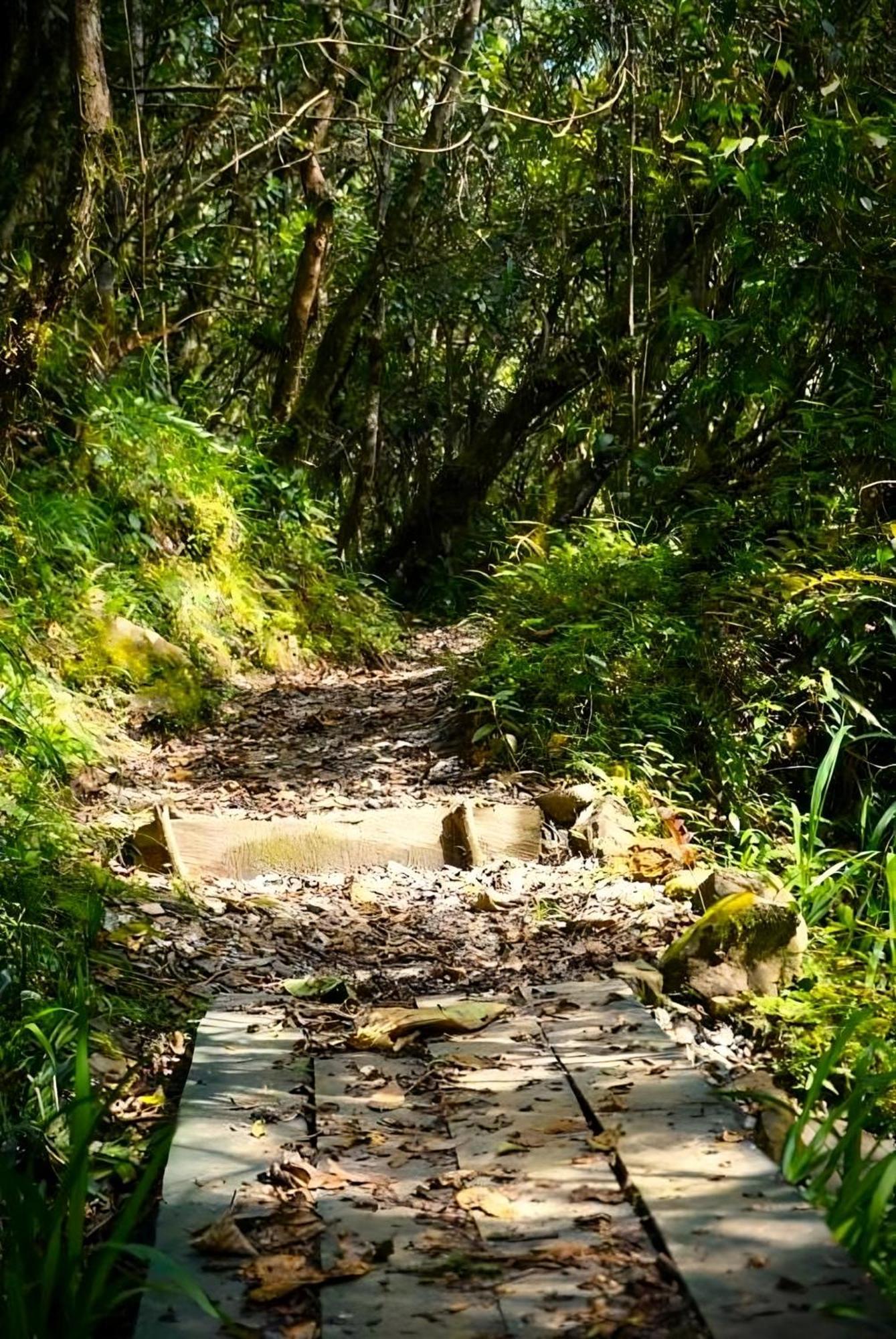 Encanto Minicasitas En Medio De La Naturaleza Santa Elena  Exterior photo